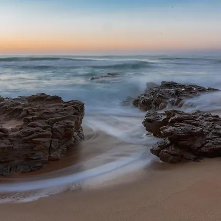 Amea טורה דיי קורסרי